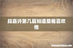段嘉许第几篇知道桑稚喜欢他