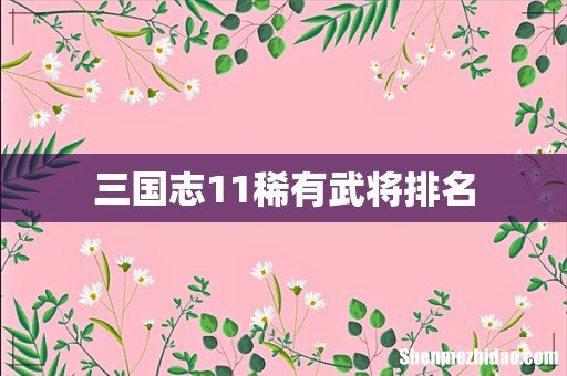 三国志11稀有武将排名