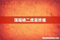 荡寇杨二虎喜欢谁