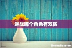 逆战哪个角色有双防