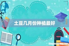 土豆几月份种植最好