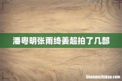 潘粤明张雨绮姜超拍了几部