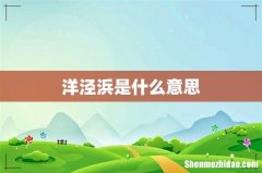 洋泾浜是什么意思