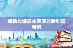 加勒比海盗主演演过哈利波特吗