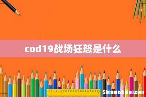 cod19战场狂怒是什么