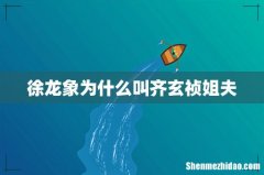 徐龙象为什么叫齐玄祯姐夫