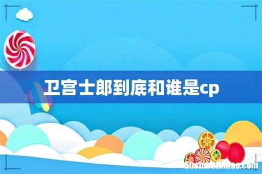 卫宫士郎到底和谁是cp