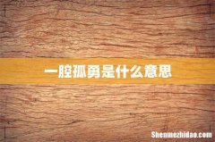 一腔孤勇是什么意思