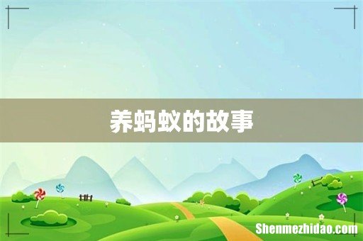 养蚂蚁的故事