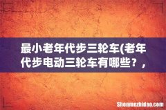 老年代步电动三轮车有哪些？, 最小老年代步三轮车