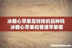 冰糖心苹果是特殊的品种吗 冰糖心苹果和普通苹果哪个好