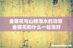 金银花与山楂泡水的功效 金银花和什么一起泡好