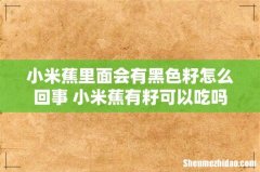 小米蕉里面会有黑色籽怎么回事 小米蕉有籽可以吃吗