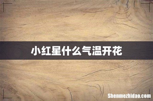小红星什么气温开花