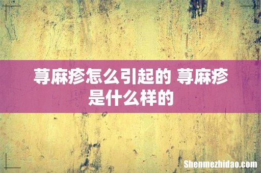 荨麻疹怎么引起的 荨麻疹是什么样的