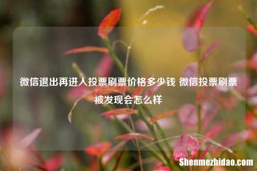 微信退出再进入投票刷票价格多少钱 微信投票刷票被发现会怎么样