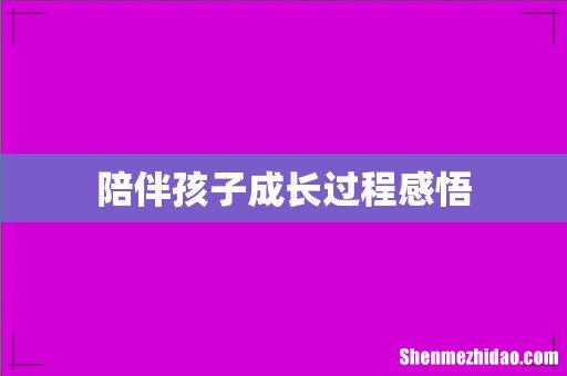 陪伴孩子成长过程感悟