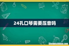 24孔口琴需要压音吗