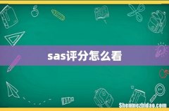 sas评分怎么看
