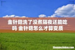 金针菇洗了没煮隔夜还能吃吗 金针菇怎么才算变质