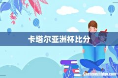 卡塔尔亚洲杯比分