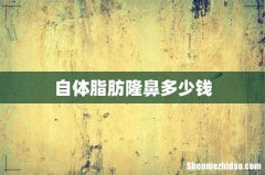 自体脂肪隆鼻多少钱