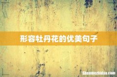 形容牡丹花的优美句子