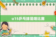 u15乒乓球是啥比赛