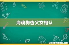 海魂梅杏父女相认