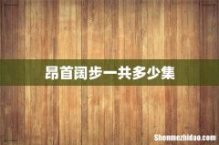 昂首阔步一共多少集