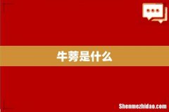 牛蒡是什么