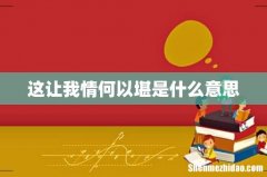 这让我情何以堪是什么意思