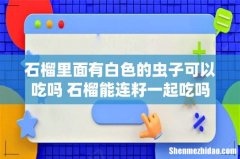 石榴里面有白色的虫子可以吃吗 石榴能连籽一起吃吗