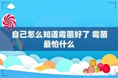 自己怎么知道霉菌好了 霉菌最怕什么