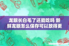 龙眼长白毛了还能吃吗 新鲜龙眼怎么保存可以放得更久