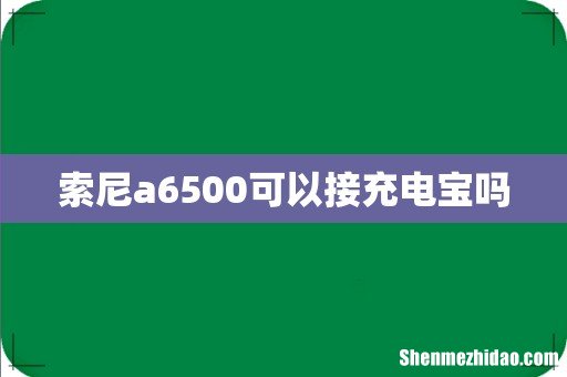 索尼a6500可以接充电宝吗