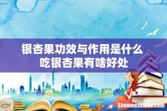 银杏果功效与作用是什么 吃银杏果有啥好处
