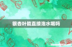 银杏叶能直接泡水喝吗