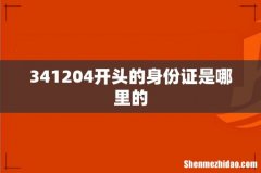 341204开头的身份证是哪里的
