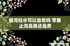 腹泻拉水可以自愈吗 苹果止泻是蒸还是煮
