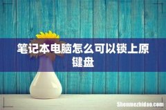 笔记本电脑怎么可以锁上原键盘