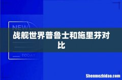 战舰世界普鲁士和施里芬对比
