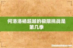 何洛洛杨超越的极限挑战是第几季