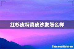 红杉皮特真皮沙发怎么样