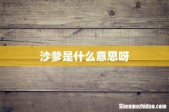 沙爹是什么意思呀