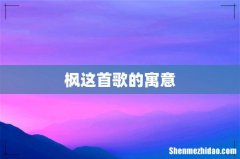 枫这首歌的寓意