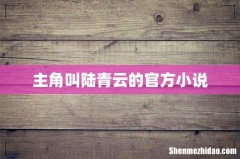 主角叫陆青云的官方小说