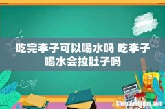 吃完李子可以喝水吗 吃李子喝水会拉肚子吗