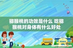 猕猴桃的功效是什么 吃猕猴桃对身体有什么好处