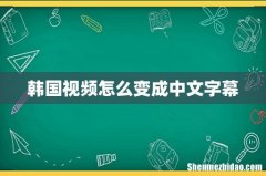 韩国视频怎么变成中文字幕